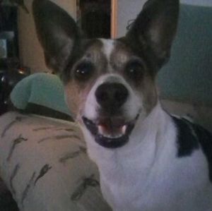 Meet your Posher, Leon